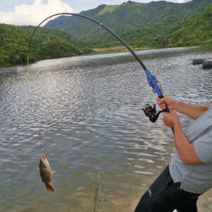 CAIGAO Automatic Fishing Rod Telescopic Fishing Pole，Portable Comfortable EVA Handle, Travel Fishing Pole for Bass Trout Fishing