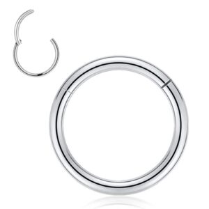 YSWUJIN 1pc Grade 23 Titanium Nose Rings 20G 18G 16G 14G Septum Jewelry Hinged Segment Ring Body Piercing Hypoallergenic Nose Hoop Lip Rings Nose Helix Cartilage Rook Earrings (16 Gauge, 6mm)