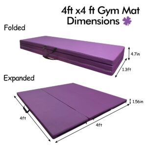 JOYSFIT Adjustable Gymnastics Bar for Kids with Mat - Sturdy Kip Bar with Rings, Horizontal Bar for Home Training, 3'-5' Height, Ages 3-15, 250 LBS Capacity, Easy Assembly. (Bar with Mat, Purple)