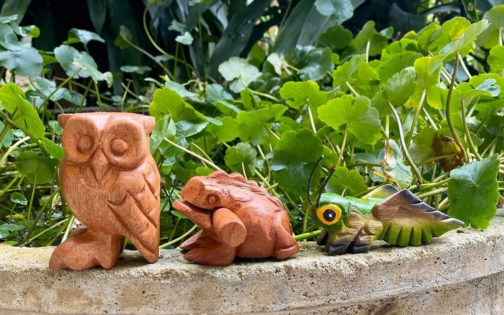 Handmade Wooden Percussion 3 Pcs Set 3 Inch Wooden Frog, 4 Inch Wooden Cricket and 3.5 Inch Wooden Owl, Gift Decor,(Green Wooden Cricket Brown Wooden Frog/Owl)