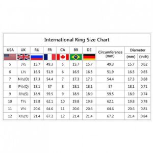 Luxury Diamond Silver Ring Bride Ring Engagement Wedding Ring Prong Setting Zircon Rings Jewelry for Your Princess 7