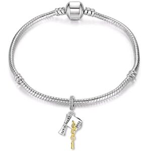 DWJSu 2023 Graduation Charm Gift College University Hat Cap Dangle Bead for Pandora Charms Bracelet Necklace for Women Girls (DW-NEW117)