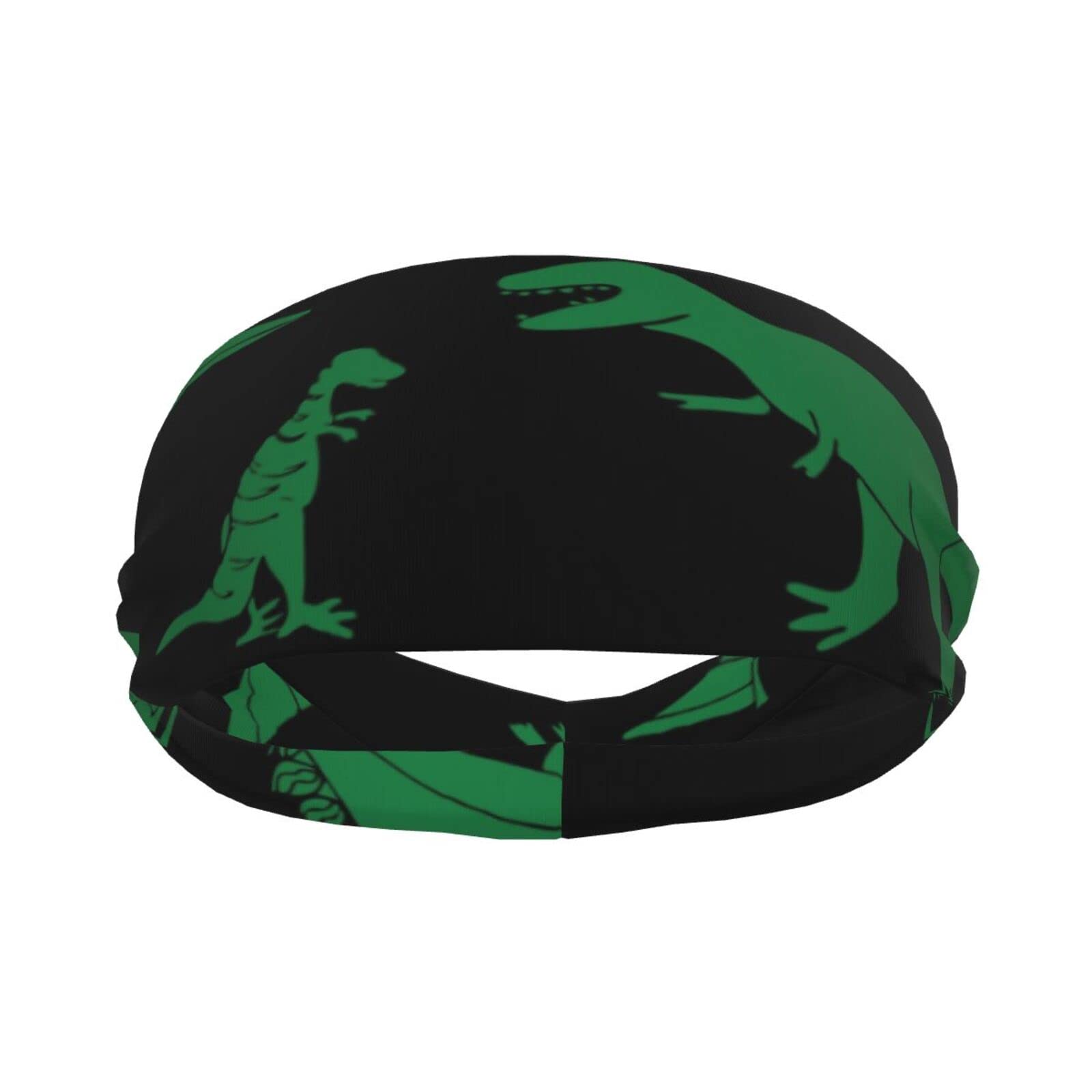 AMRANDOM Men and Women Sweatband Green Dinosaur Sports Sweatband Breatheable Sports Headband for Running, Cross Training, Yoga, Bike