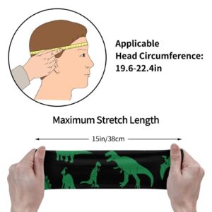 AMRANDOM Men and Women Sweatband Green Dinosaur Sports Sweatband Breatheable Sports Headband for Running, Cross Training, Yoga, Bike