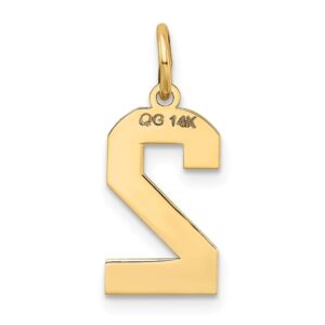 Auriga Fine Jewelry 14k Yellow Gold Medium Satin Number 2 Pendant (L- 20 mm, W- 8 mm) Gift for Women