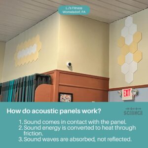 Hexagon Acoustic Panels for Sound Dampening - 12 Pack Self Adhesive Sound Absorption Panels - Eco Friendly Acoustic Treatment for Echo Reduction (Marble Gray)