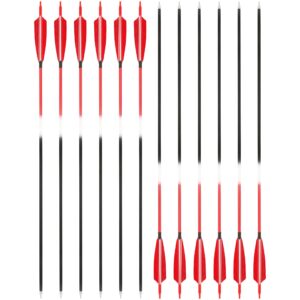 AMEYXGS 12Pcs Archery 30Inch Carbon Arrow Target Practice Hunting Arrow Spine 500 with 5inch Shield Turkey Feather Removable Tips for Traditional Recurve Compound Bow Longbow (Red1, 12)