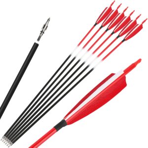 AMEYXGS 12Pcs Archery 30Inch Carbon Arrow Target Practice Hunting Arrow Spine 500 with 5inch Shield Turkey Feather Removable Tips for Traditional Recurve Compound Bow Longbow (Red1, 12)