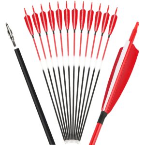 AMEYXGS 12Pcs Archery 30Inch Carbon Arrow Target Practice Hunting Arrow Spine 500 with 5inch Shield Turkey Feather Removable Tips for Traditional Recurve Compound Bow Longbow (Red1, 12)