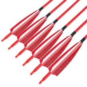 AMEYXGS 12Pcs Archery 30Inch Carbon Arrow Target Practice Hunting Arrow Spine 500 with 5inch Shield Turkey Feather Removable Tips for Traditional Recurve Compound Bow Longbow (Red1, 12)