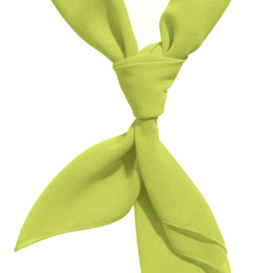 Green Scarf Daphne Lime Green Ascot Neck Silk Scarf Headband Hankerchief Daphne Costume Accessories for Women