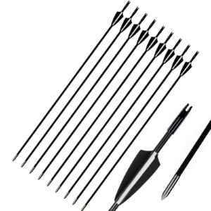 hatap archery fibreglass arrows 31" training arrows target practice fiberglass arrows hunting arrows for kids youth or beginners (6pcs, black)