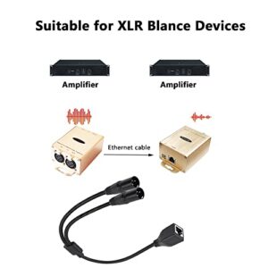 GELRHONR Dual XLR 3Pin Male to RJ45 Female Adapter Cable,RJ45 Female to Dual DMX XLR 3Pin Female Extension Cable Use Cat5 Ethernet for DMX-CON Controller Series-Black/1.7Ft