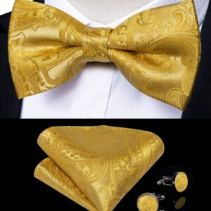 DiBanGu Gold Suspenders for Men Heavy Duty Yellow Suspenders and Bow Tie Set Adjustable Y-Back Mens Trouser Braces