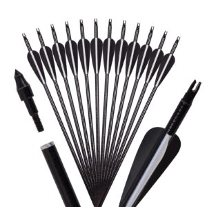 FENJANER Archery 30inch Carbon Arrow Spine 500 Practice Hunting Arrows with Removable Tips for Compound Bow and Recurve Bow (Pack of 12) (7.8mm-black)