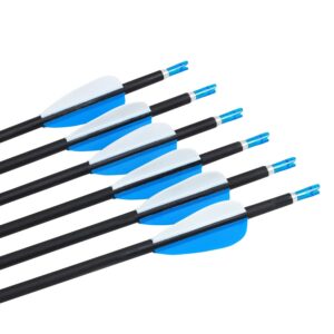 FENJANER Archery 30inch Carbon Arrow Spine 500 Practice Hunting Arrows with Removable Tips for Compound Bow and Recurve Bow (Pack of 12) (6mm-blue)