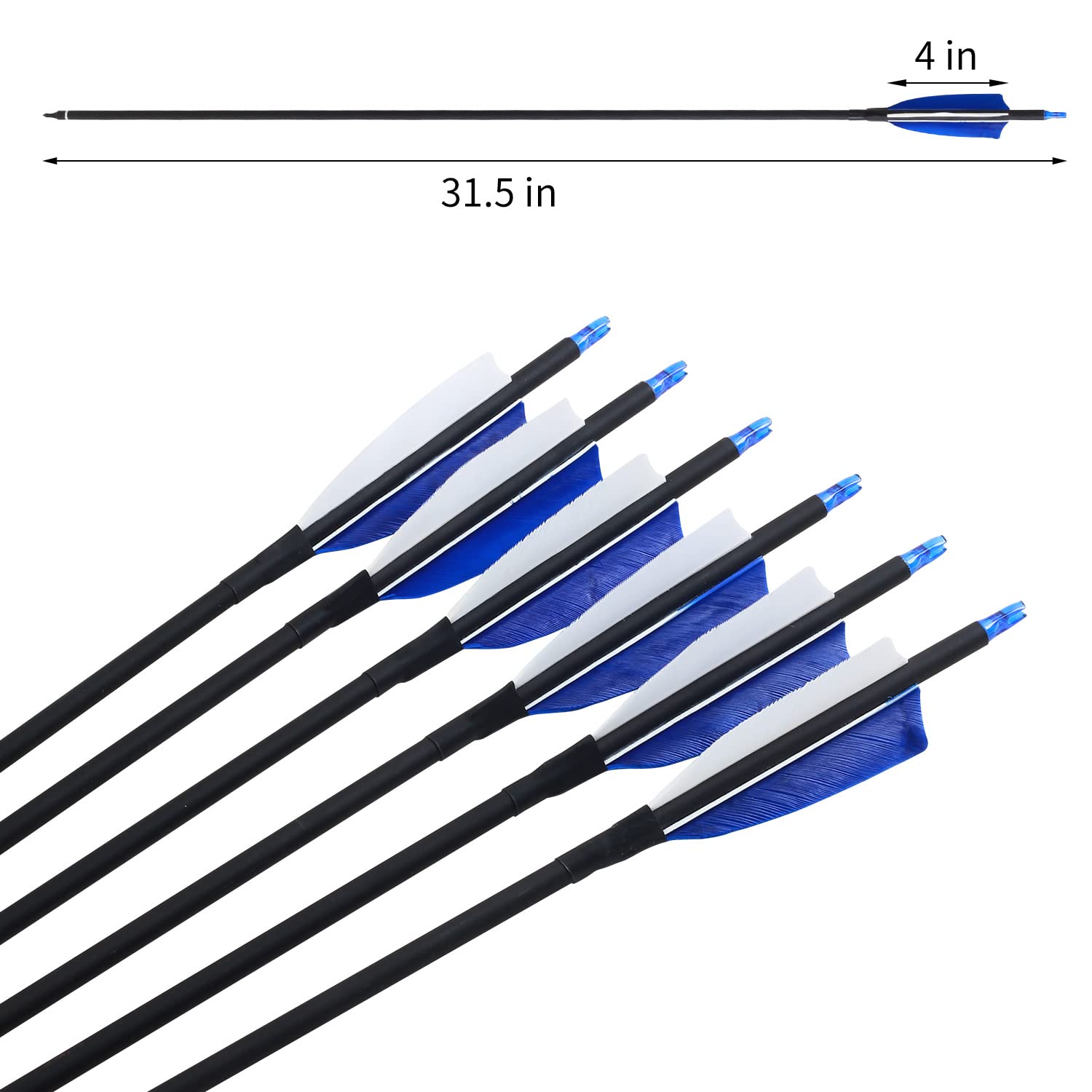 FENJANER Archery 31'' Carbon Arrows Archery Target Practice Hunting Arrow with 4'' Natural Turkey Feathers Spine 500 for Recurve Bow and Compound Bow (Pack of 12) (Blue)