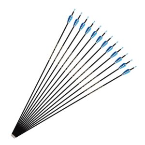 FENJANER Archery 30inch Carbon Arrow Spine 500 Practice Hunting Arrows with Removable Tips for Compound Bow and Recurve Bow (Pack of 12) (6mm-blue)