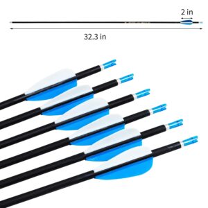 FENJANER Archery 30inch Carbon Arrow Spine 500 Practice Hunting Arrows with Removable Tips for Compound Bow and Recurve Bow (Pack of 12) (6mm-blue)