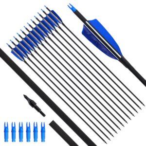 FENJANER Archery 31'' Carbon Arrows Archery Target Practice Hunting Arrow with 4'' Natural Turkey Feathers Spine 500 for Recurve Bow and Compound Bow (Pack of 12) (Blue)