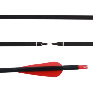 FENJANER Archery 30inch Carbon Arrow Spine 500 Practice Hunting Arrows with Removable Tips for Compound Bow and Recurve Bow (Pack of 12) (Red)