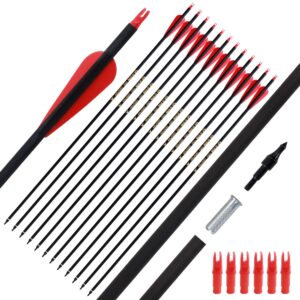 FENJANER Archery 30inch Carbon Arrow Spine 500 Practice Hunting Arrows with Removable Tips for Compound Bow and Recurve Bow (Pack of 12) (Red)