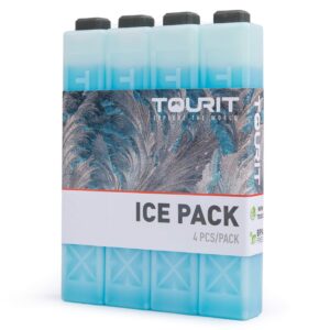 TOURIT Backpack Cooler and 4 Ice Packs Bargain Perfect Combination