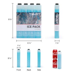 TOURIT Backpack Cooler and 4 Ice Packs Bargain Perfect Combination