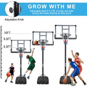 Teenagers Youth Portable Basketball Hoops Height Adjustable 6.5ft -10ft Basketball System 43 Inch Backboard with Wheels for Driveway Indoor Outdoor Use, Grey