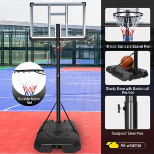 Teenagers Youth Portable Basketball Hoops Height Adjustable 6.5ft -10ft Basketball System 43 Inch Backboard with Wheels for Driveway Indoor Outdoor Use, Grey