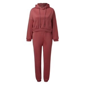 Women's Two Piece Outfits Hoodies Tops and Elastic Waistband Pant Solid Sweatsuit Tracksuit Sets Joggers Tracksuit