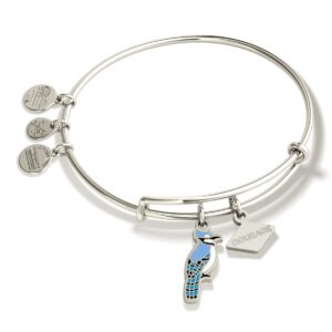 Alex and Ani Symbols and Tokens Expandable Bangle for Women, Blue Jay Charm, Shiny Silver Finish, 2 to 3.5 in