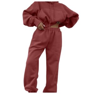 Women's Two Piece Outfits Hoodies Tops and Elastic Waistband Pant Solid Sweatsuit Tracksuit Sets Joggers Tracksuit