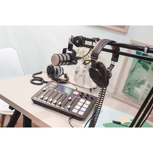 Rode PodMic Dynamic Podcast Microphone (Pair) with Gator GFW-MIC-0250 Desktop Mic Stands, TH-02 Podcast Headphones, XLR Cables and StreamEye Polishing Cloth