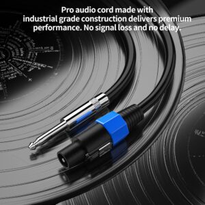 Wdpqyy 2-Pack 25 Feet Audio Speakon to 1/4 Inch TS Speaker Cable, Professional 12AWG Guage Wire Audio Speaker Cable with Twist Lock