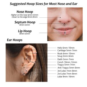 LOYALLOOK G23 Titanium Hinged Clicker Segment Nose Rings Hoop Septum Nose Lip Ring Hoop for Women Men Helix Cartilage Daith Tragus Sleeper Earrings Body Piercing Improved 16G Silver Tone