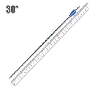 TIGER ARCHERY 400-30inch Carbon Hunting Arrows Archery Target Practice Arrows with Removable Tips for Recurve Bow and Compound Bow 12-Pack (30inch, Blue White)