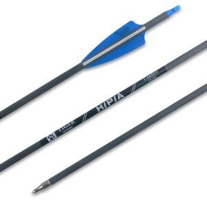 TIGER ARCHERY 400-30inch Carbon Hunting Arrows Archery Target Practice Arrows with Removable Tips for Recurve Bow and Compound Bow 12-Pack (30inch, Blue White)