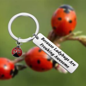 HOLLP Ladybug Jewelry Lady Beetle Gift Because Ladybugs Are Freaking Awesome Keychain for Gardener (Because Ladybugs)