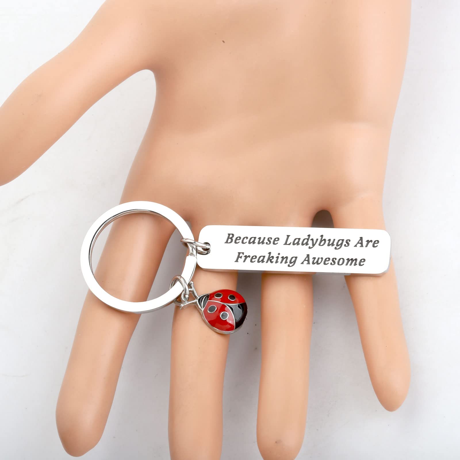 HOLLP Ladybug Jewelry Lady Beetle Gift Because Ladybugs Are Freaking Awesome Keychain for Gardener (Because Ladybugs)