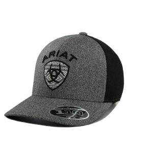 ARIAT Men's Flexfit 110 Aztec Logo Snapback, Grey