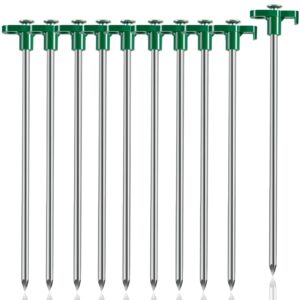 Tiomues Tent Stakes, 10PCS Heavy Duty Tent Stakes Pegs, Outdoor Camping Windproof Professional Ground Stakes, Metal Tent Pegs for All Kinds of Ground, Specially Designed for Tent Canopies