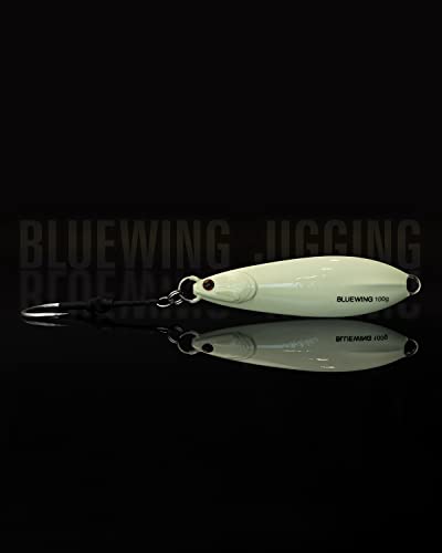 BLUEWING Fishing Lures Saltwater Jigging Lures Vertical Jigs for Saltwater Fish Slow Fall Pitch Sinking Lead Fishing Bait with Hook 150g White