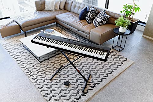 Korg 88 Portable Digital Piano with Semi-Weighted Keys and Built-in Speakers, with Sustain Pedal, Music Stand, and Power Supply (LIANO),Black