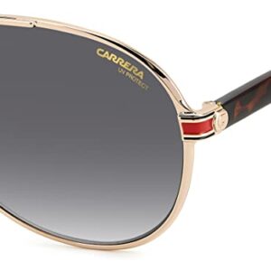 Carrera 1051/S Gold Havana/Dark Grey Shaded 61/13/140 unisex Sunglasses