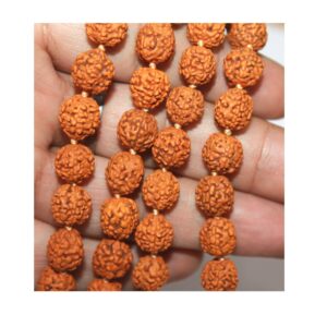 Original Rudraksha Mala With Certificate For Wearing And Japa Mala (5 Mukhi Mala, 108 Beads Mala Rosary Garland)