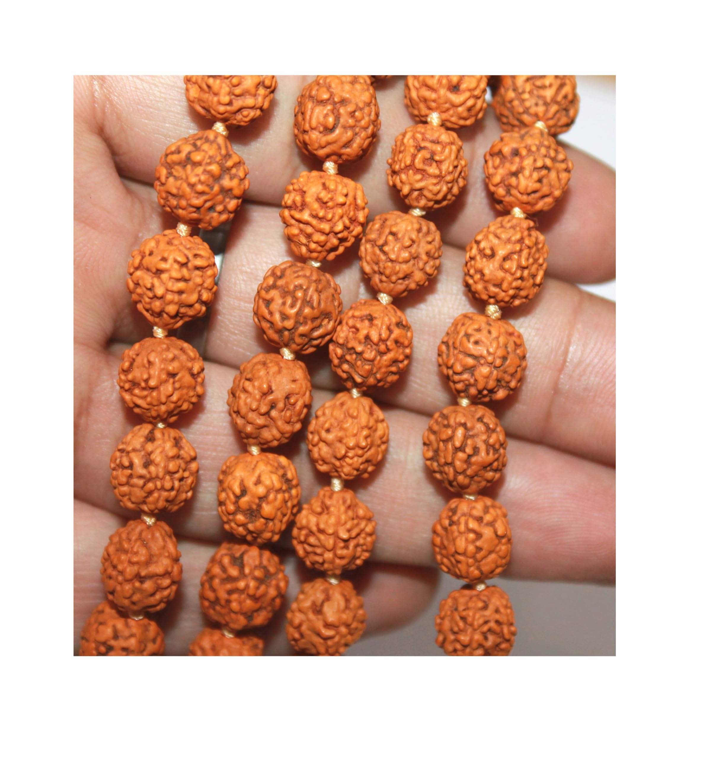 Original Rudraksha Mala With Certificate For Wearing And Japa Mala (5 Mukhi Mala, 108 Beads Mala Rosary Garland)