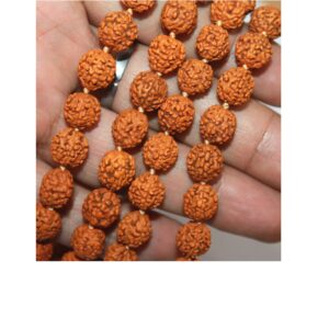 Original Rudraksha Mala With Certificate For Wearing And Japa Mala (5 Mukhi Mala, 108 Beads Mala Rosary Garland)