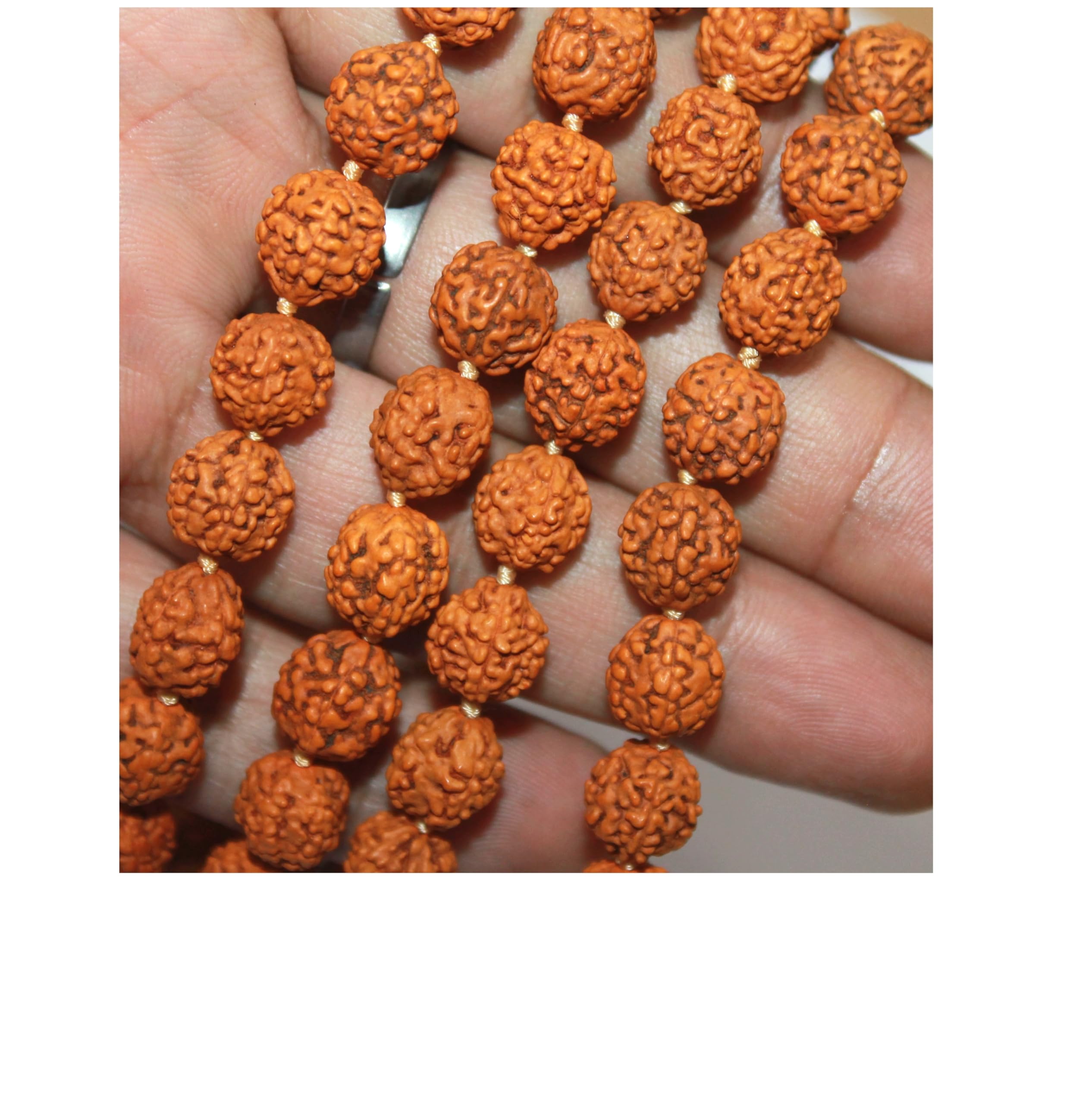 Original Rudraksha Mala With Certificate For Wearing And Japa Mala (5 Mukhi Mala, 108 Beads Mala Rosary Garland)