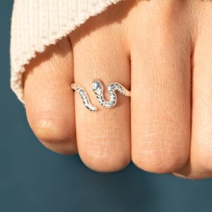 Story Jewellery Sterling Silver Snake Promise Rings for Women, Dainty Serpent Wrap Rings for Women, Jewelry Gifts for Her, Birthday Christmas Valentines Gifts Rings for Women (US Size 05)